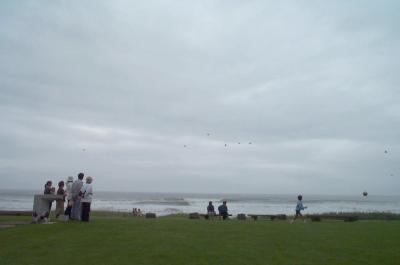 People playing on seashore